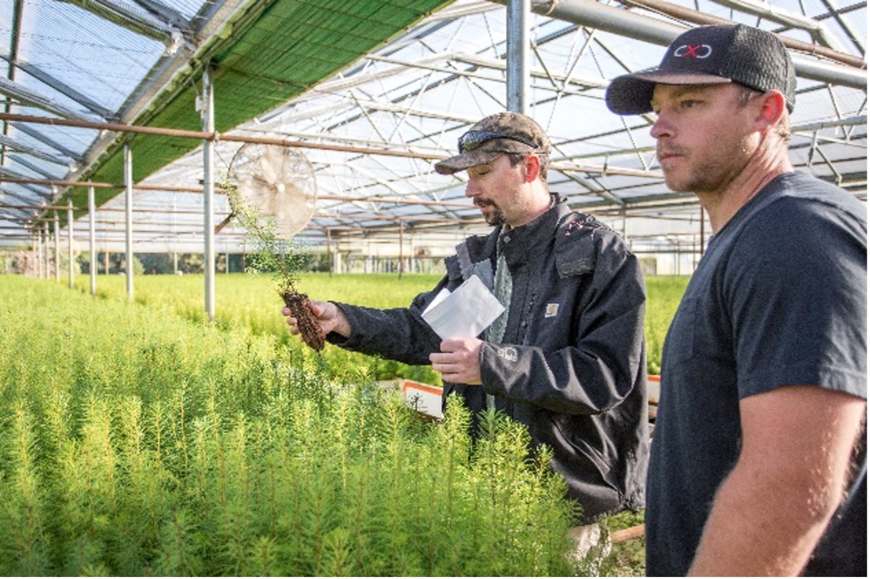 Wood products continue to grow Oregon’s economy Oregon Forests Forever